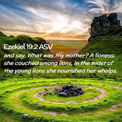 Picture 02 - Ezekiel 19:2 ASV - and say, What was thy mother? A lioness: she - Bible Verse Picture