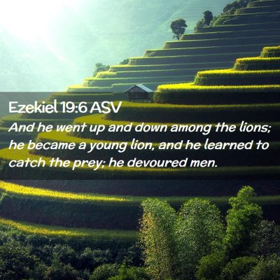 Picture 02 - Ezekiel 19:6 ASV - And he went up and down among the lions; he - Bible Verse Picture