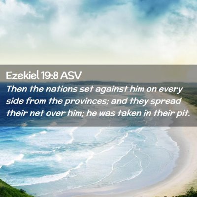Picture 02 - Ezekiel 19:8 ASV - Then the nations set against him on every side - Bible Verse Picture