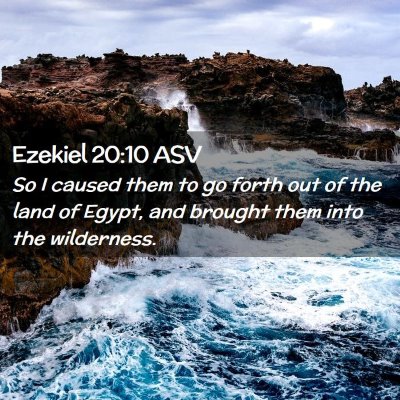 Picture 02 - Ezekiel 20:10 ASV - So I caused them to go forth out of the land of - Bible Verse Picture