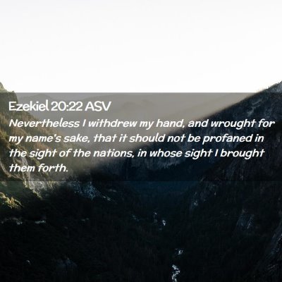 Picture 02 - Ezekiel 20:22 ASV - Nevertheless I withdrew my hand, and wrought for - Bible Verse Picture