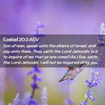 Picture 02 - Ezekiel 20:3 ASV - Son of man, speak unto the elders of Israel, and - Bible Verse Picture