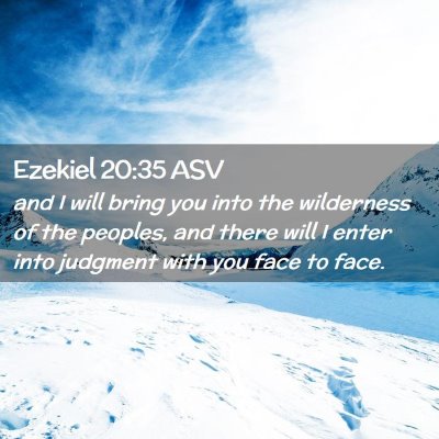 Picture 02 - Ezekiel 20:35 ASV - and I will bring you into the wilderness of the - Bible Verse Picture