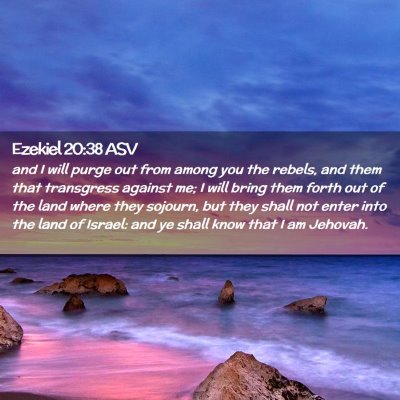 Picture 02 - Ezekiel 20:38 ASV - and I will purge out from among you the rebels, - Bible Verse Picture