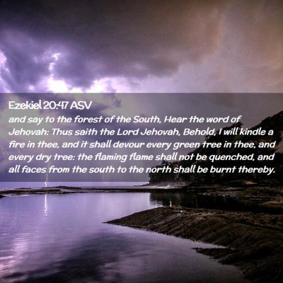 Picture 02 - Ezekiel 20:47 ASV - and say to the forest of the South, Hear the word - Bible Verse Picture