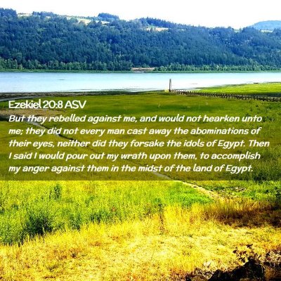 Picture 02 - Ezekiel 20:8 ASV - But they rebelled against me, and would not - Bible Verse Picture