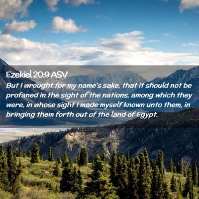 Picture 02 - Ezekiel 20:9 ASV - But I wrought for my name's sake, that it should - Bible Verse Picture