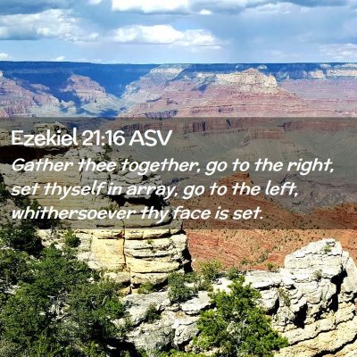 Picture 02 - Ezekiel 21:16 ASV - Gather thee together, go to the right, set - Bible Verse Picture