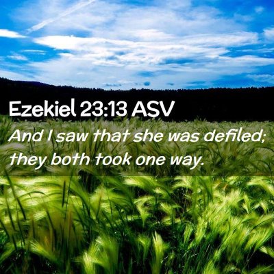 Picture 02 - Ezekiel 23:13 ASV - And I saw that she was defiled; they both took - Bible Verse Picture