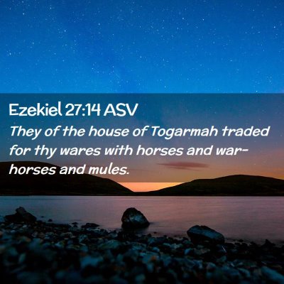 Picture 02 - Ezekiel 27:14 ASV - They of the house of Togarmah traded for thy - Bible Verse Picture
