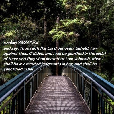 Picture 02 - Ezekiel 28:22 ASV - and say, Thus saith the Lord Jehovah: Behold, I - Bible Verse Picture