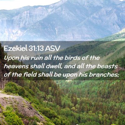 Picture 02 - Ezekiel 31:13 ASV - Upon his ruin all the birds of the heavens shall - Bible Verse Picture