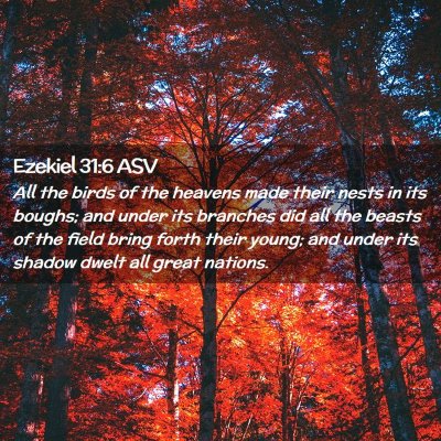 Picture 02 - Ezekiel 31:6 ASV - All the birds of the heavens made their nests in - Bible Verse Picture