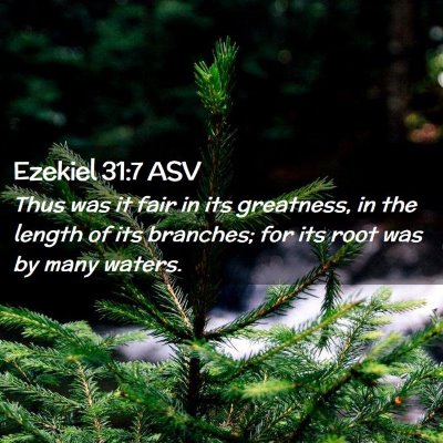Picture 02 - Ezekiel 31:7 ASV - Thus was it fair in its greatness, in the length - Bible Verse Picture