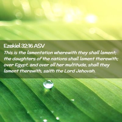 Picture 02 - Ezekiel 32:16 ASV - This is the lamentation wherewith they shall - Bible Verse Picture