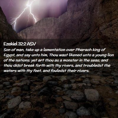 Picture 02 - Ezekiel 32:2 ASV - Son of man, take up a lamentation over Pharaoh - Bible Verse Picture