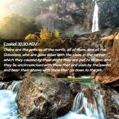 Picture 02 - Ezekiel 32:30 ASV - There are the princes of the north, all of them, - Bible Verse Picture