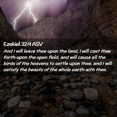 Picture 02 - Ezekiel 32:4 ASV - And I will leave thee upon the land, I will cast - Bible Verse Picture
