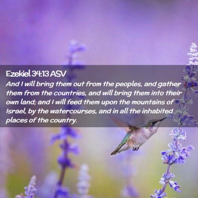 Picture 02 - Ezekiel 34:13 ASV - And I will bring them out from the peoples, and - Bible Verse Picture