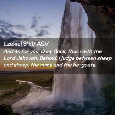 Picture 02 - Ezekiel 34:17 ASV - And as for you, O my flock, thus saith the Lord - Bible Verse Picture