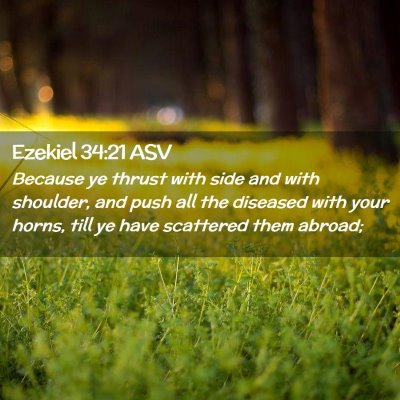 Picture 02 - Ezekiel 34:21 ASV - Because ye thrust with side and with shoulder, - Bible Verse Picture