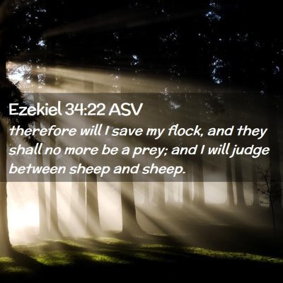 Picture 02 - Ezekiel 34:22 ASV - therefore will I save my flock, and they shall no - Bible Verse Picture