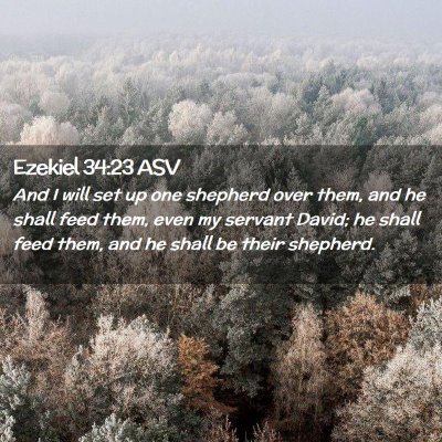 Picture 02 - Ezekiel 34:23 ASV - And I will set up one shepherd over them, and he - Bible Verse Picture