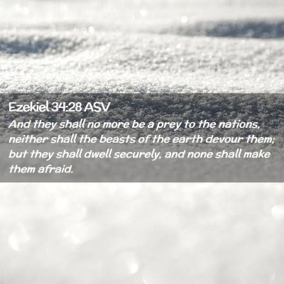 Picture 02 - Ezekiel 34:28 ASV - And they shall no more be a prey to the nations, - Bible Verse Picture
