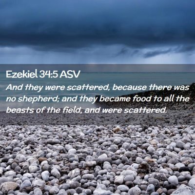 Picture 02 - Ezekiel 34:5 ASV - And they were scattered, because there was no - Bible Verse Picture