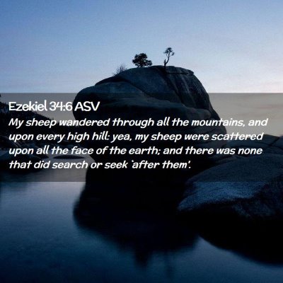 Picture 02 - Ezekiel 34:6 ASV - My sheep wandered through all the mountains, and - Bible Verse Picture
