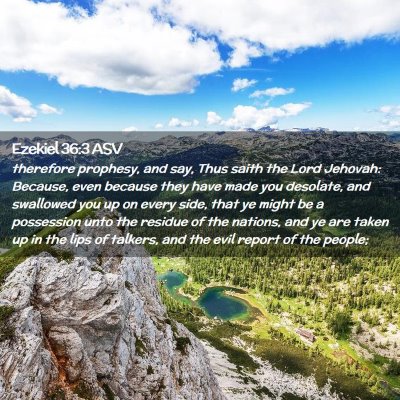 Picture 02 - Ezekiel 36:3 ASV - therefore prophesy, and say, Thus saith the Lord - Bible Verse Picture