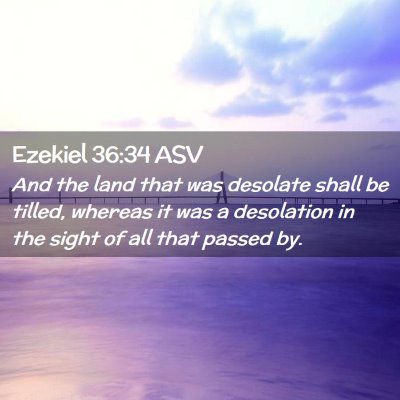Picture 02 - Ezekiel 36:34 ASV - And the land that was desolate shall be tilled, - Bible Verse Picture