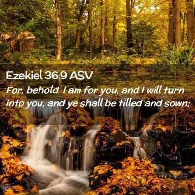Picture 02 - Ezekiel 36:9 ASV - For, behold, I am for you, and I will turn into - Bible Verse Picture
