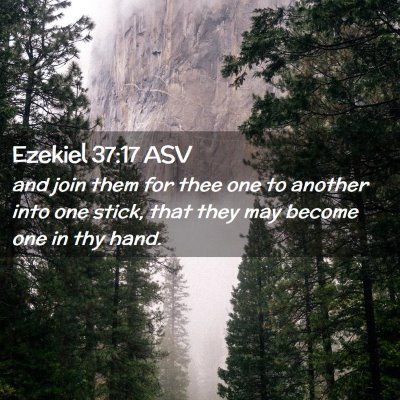 Picture 02 - Ezekiel 37:17 ASV - and join them for thee one to another into one - Bible Verse Picture