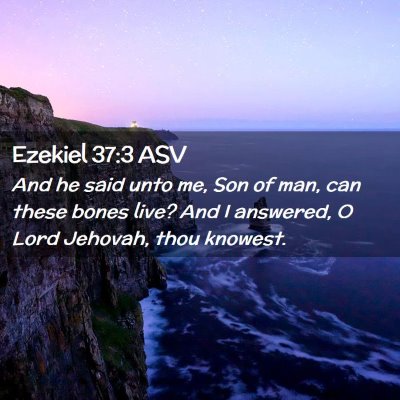 Picture 02 - Ezekiel 37:3 ASV - And he said unto me, Son of man, can these bones - Bible Verse Picture