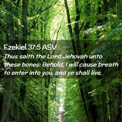Picture 02 - Ezekiel 37:5 ASV - Thus saith the Lord Jehovah unto these bones: - Bible Verse Picture