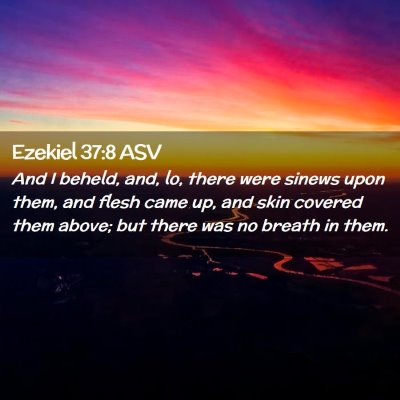 Picture 02 - Ezekiel 37:8 ASV - And I beheld, and, lo, there were sinews upon - Bible Verse Picture