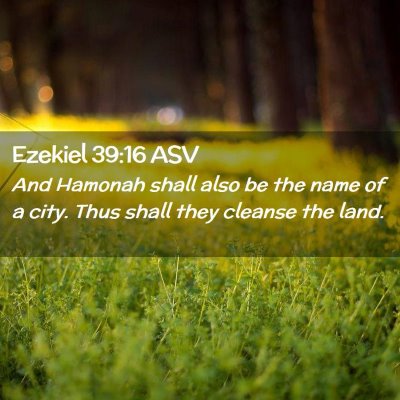 Picture 02 - Ezekiel 39:16 ASV - And Hamonah shall also be the name of a city. - Bible Verse Picture