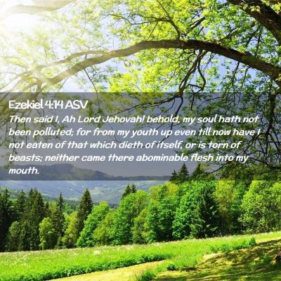 Picture 02 - Ezekiel 4:14 ASV - Then said I, Ah Lord Jehovah! behold, my soul - Bible Verse Picture