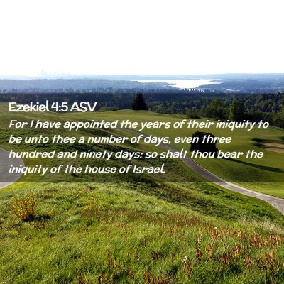 Picture 02 - Ezekiel 4:5 ASV - For I have appointed the years of their iniquity - Bible Verse Picture