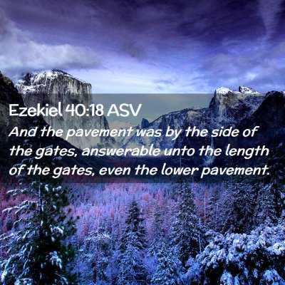 Picture 02 - Ezekiel 40:18 ASV - And the pavement was by the side of the gates, - Bible Verse Picture
