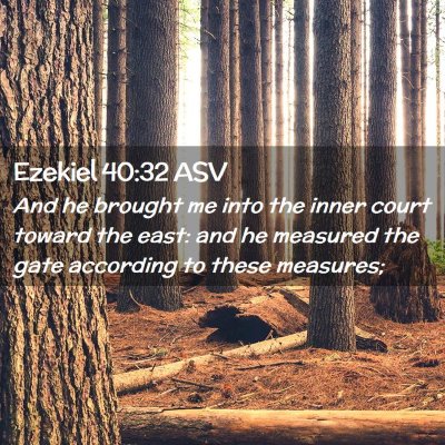 Picture 02 - Ezekiel 40:32 ASV - And he brought me into the inner court toward the - Bible Verse Picture