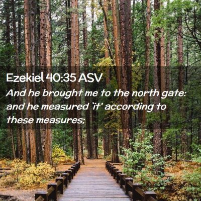 Picture 02 - Ezekiel 40:35 ASV - And he brought me to the north gate: and he - Bible Verse Picture