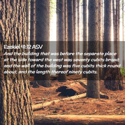 Picture 02 - Ezekiel 41:12 ASV - And the building that was before the separate - Bible Verse Picture