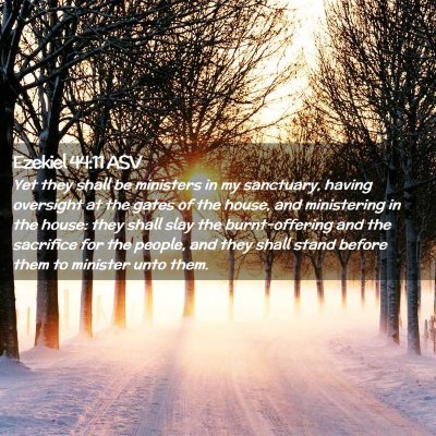 Picture 02 - Ezekiel 44:11 ASV - Yet they shall be ministers in my sanctuary, - Bible Verse Picture
