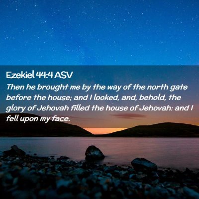 Picture 02 - Ezekiel 44:4 ASV - Then he brought me by the way of the north gate - Bible Verse Picture
