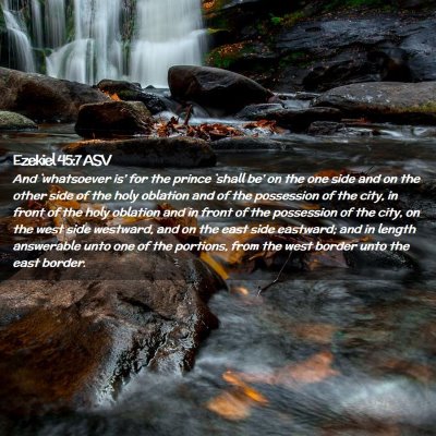 Picture 02 - Ezekiel 45:7 ASV - And `whatsoever is' for the prince `shall be' on - Bible Verse Picture