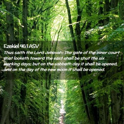 Picture 02 - Ezekiel 46:1 ASV - Thus saith the Lord Jehovah: The gate of the - Bible Verse Picture