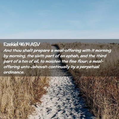 Picture 02 - Ezekiel 46:14 ASV - And thou shalt prepare a meal-offering with it - Bible Verse Picture