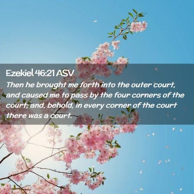 Picture 02 - Ezekiel 46:21 ASV - Then he brought me forth into the outer court, - Bible Verse Picture